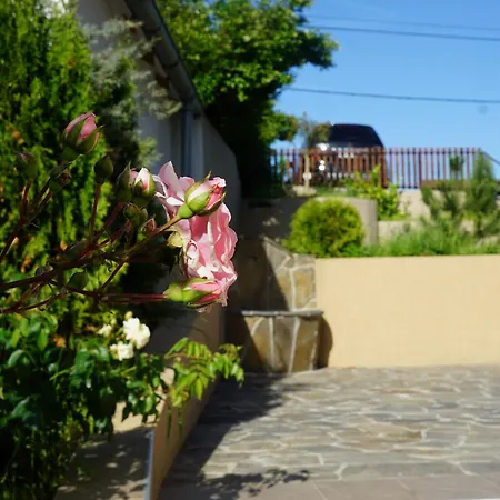 Lipahill Luxe Вилла Ripanj